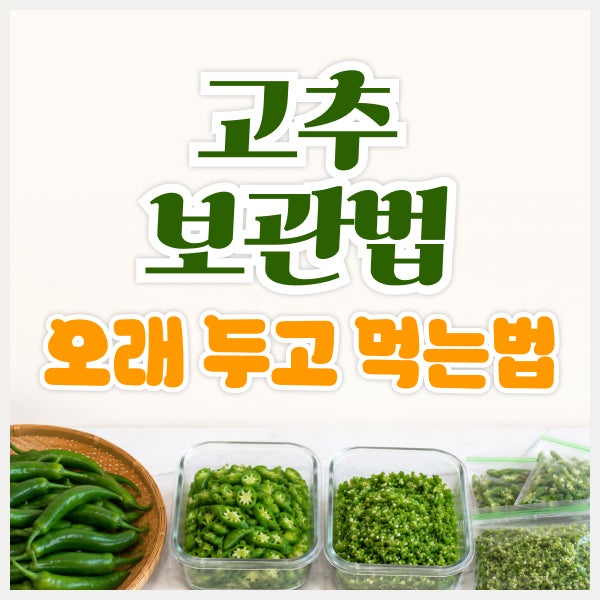 고추 보관법 냉장·냉동 총정리, 오래 두고 먹는 방법