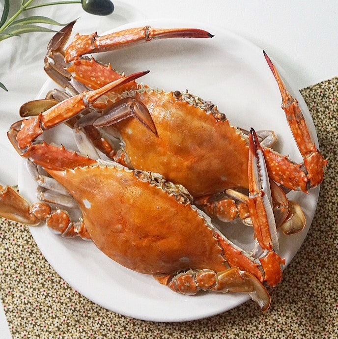 꽃게찜 하는법 제철 활꽃게 찌는법 시간은 15분이면 충분!
