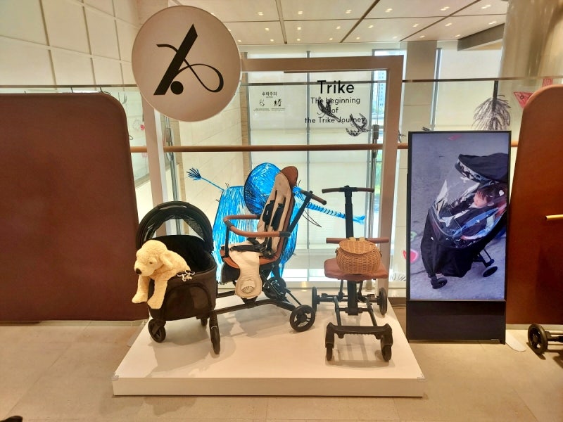 대전 신세계백화점 에이블트라이크 매장 방문 후기