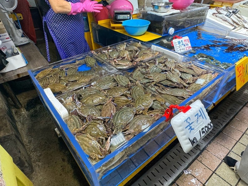 인천 연안부두 종합어시장 꽃게 가격 1kg 전어 시세 주차장