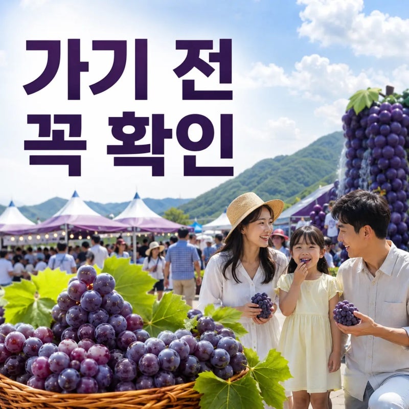 영동 포도축제 포도 따기 장소 따로 있다, 주차 동선까지