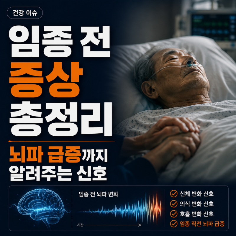 임종 전 증상 총정리 | 뇌파 급증까지 알려주는 신호