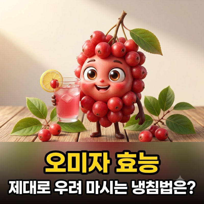 다섯 가지 맛의 비밀 오미자 효능 100% 챙기는 냉침법과 주의사항 가이드