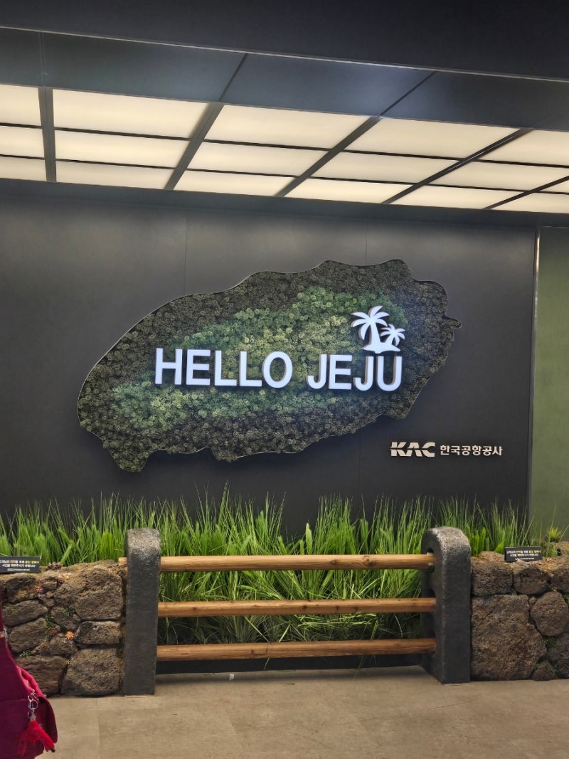 개피곤한제주도패키지여행