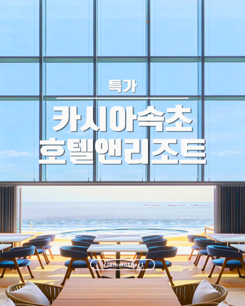 속초 강아지동반 호텔 카시아 속초 가격 비교