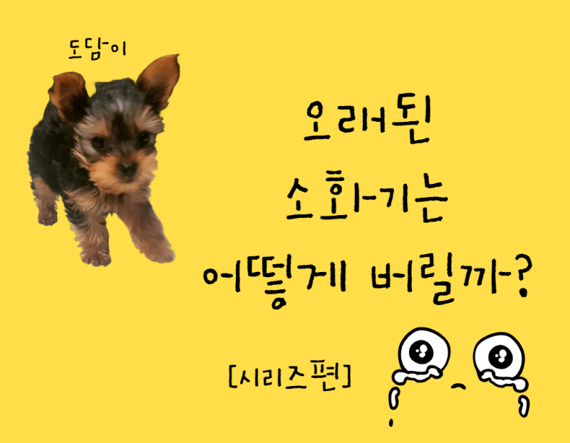 오래된 소화기는 어떻게 버릴까? 압력이 남아 있어도 그냥 버려도 될까?
