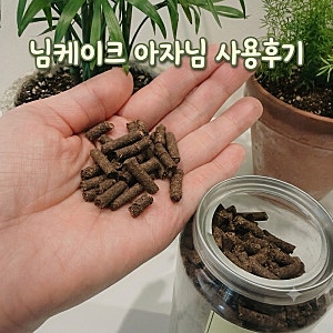 벌레 안 꼬이는 님유박비료! 아자님 뉴트리코 님케이크 실내 화분 & 야외 화단 사용 후기