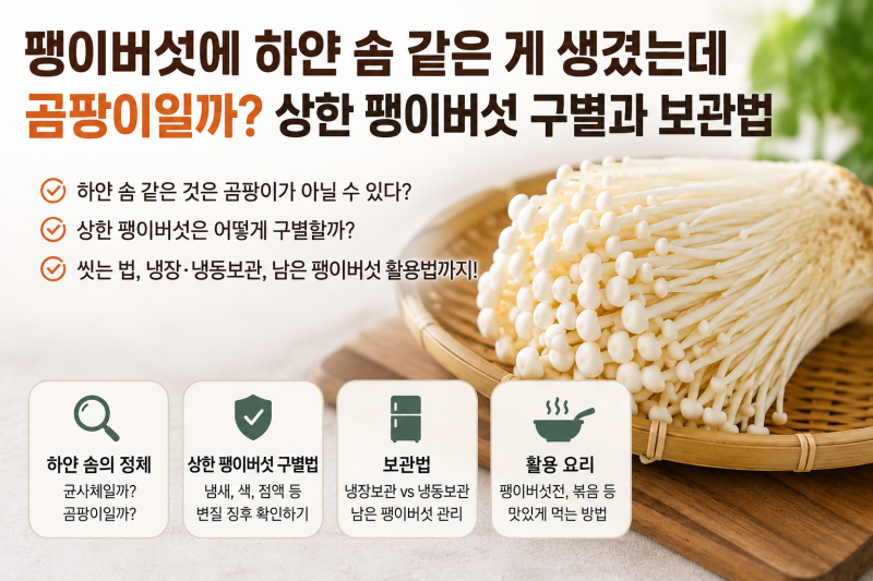 팽이버섯에 하얀 솜 같은 게 생겼는데 곰팡이일까? 상한 팽이버섯 구별과 보관법