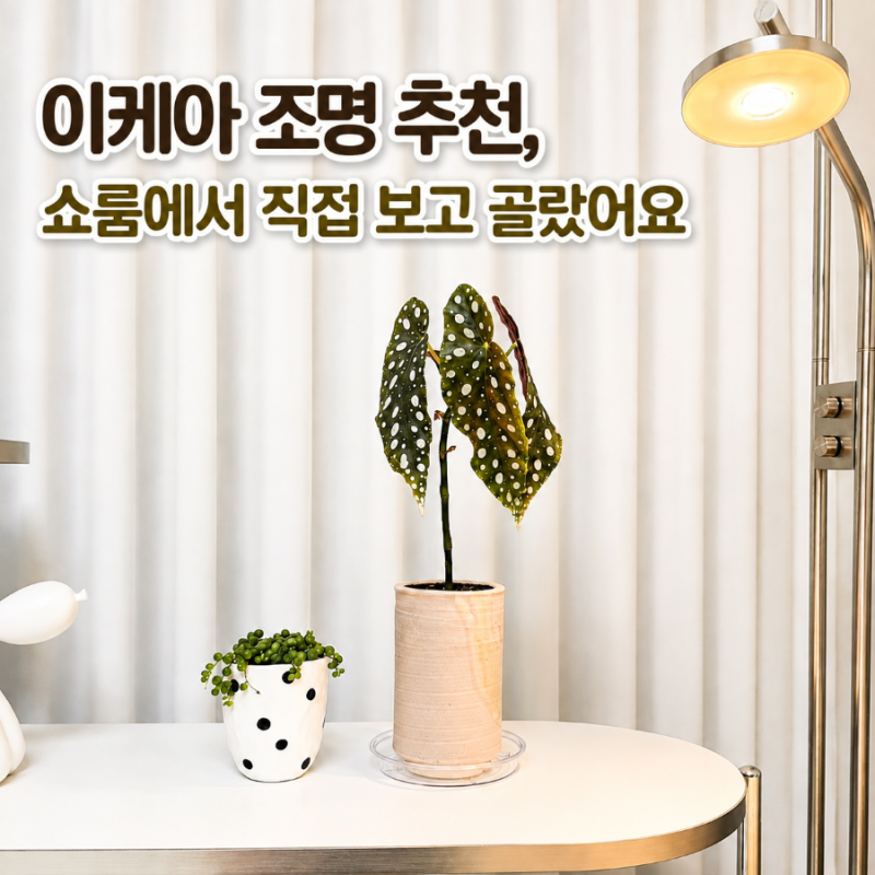 이케아 조명 추천, 쇼룸에서 직접 보고 고른 이샥트
