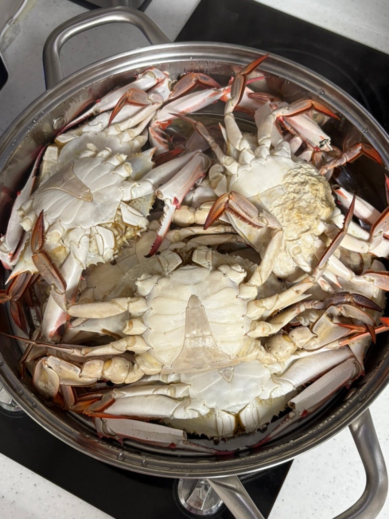 살 꽉 찬 꽃게 집에서 쪄먹는법! 찌는 시간부터 손질까지