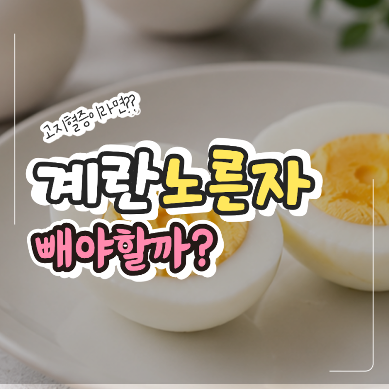 계란은 콜레스테롤 때문에 피해야 하는 줄 알았는데 고지혈증에는 반전이 있었어요