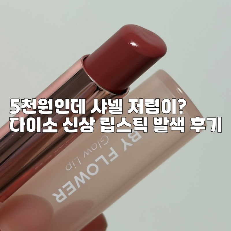 다이소 네이처리퍼블릭 립스틱, 샤넬 저렴이로 핫한 프로테아 발색은?