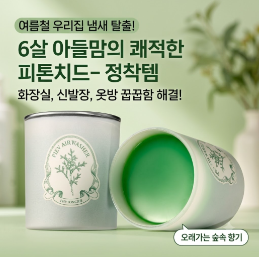 온 집안에 차오르는 꿉꿉한 냄새 지옥 탈출 피에브 에어워셔 고체 탈취제 후기 다이소 탈취....