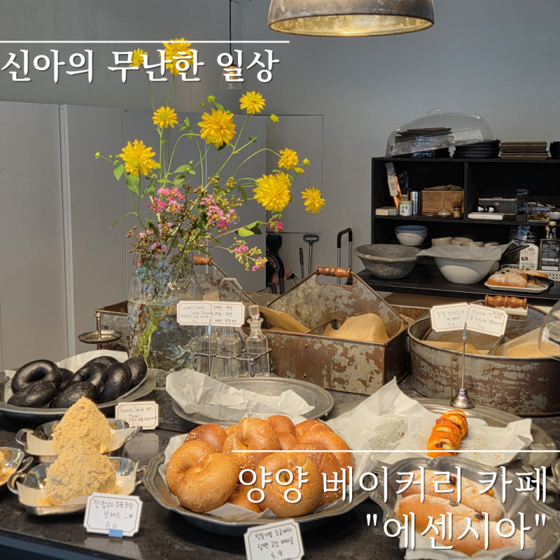 양양 낙산해수욕장 오션뷰카페 에센시아