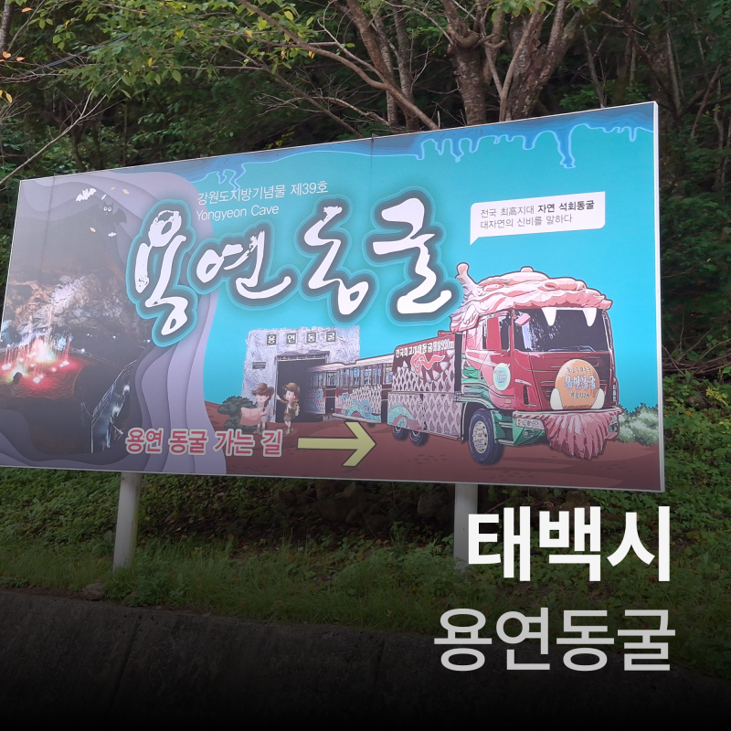 태백여행(태백 갈만한곳 용연동굴)