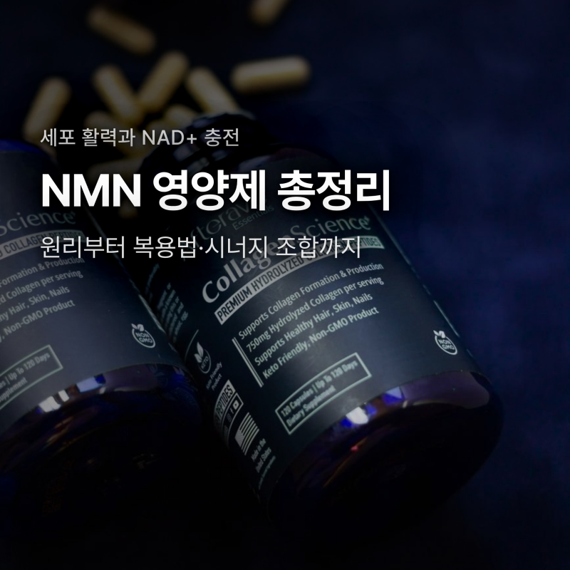 NMN 영양제 효능 4가지, NAD+ 충전 원리와 올바른 복용법