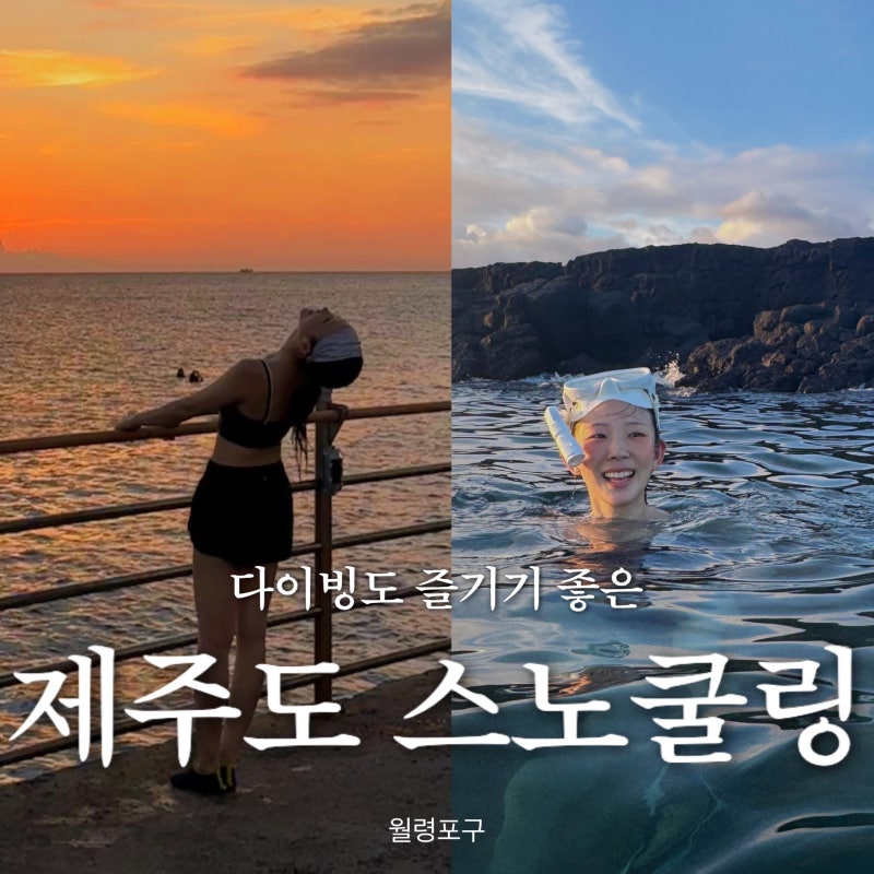 [제주도 스노쿨링 명소] '월령포구' 스노쿨링·다이빙 포인트 + 수중랜턴 밤 수영 후기