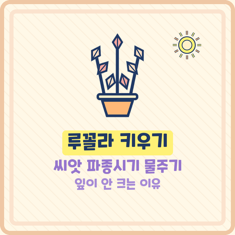 루꼴라 키우기 루꼴라씨앗 파종시기 집에서 잎이 안 크는 이유