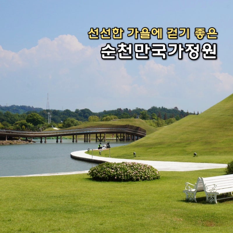 가을 순천 가볼만한곳 순천만국가정원, 반도 못 보고 온 이유와 첫 방문 꿀팁