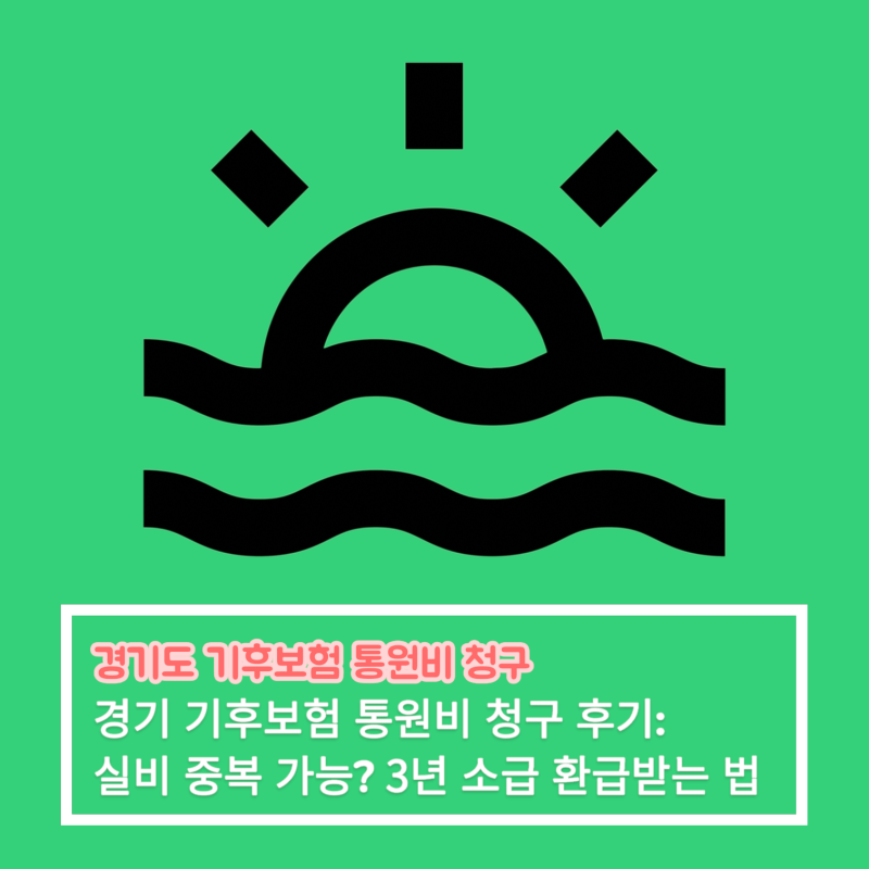 경기 기후보험 통원비 청구 후기, 실비 중복 가능? 3년 소급 환급받는 법