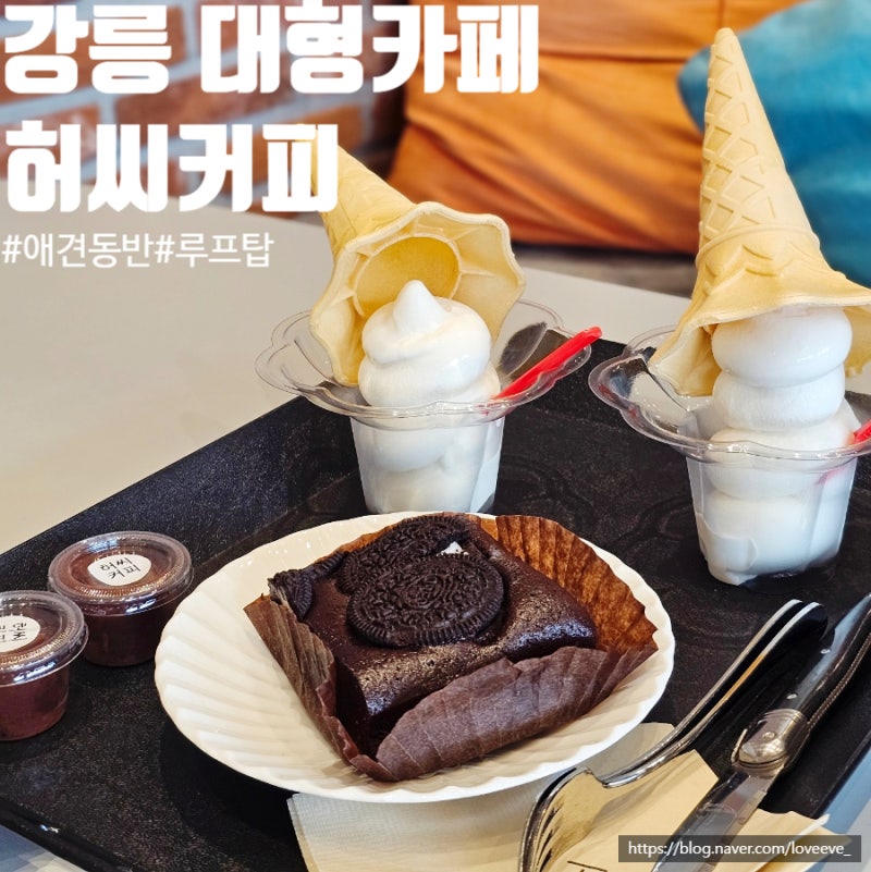 강릉 강문해변카페 애견동반 허씨커피 디저트 후기