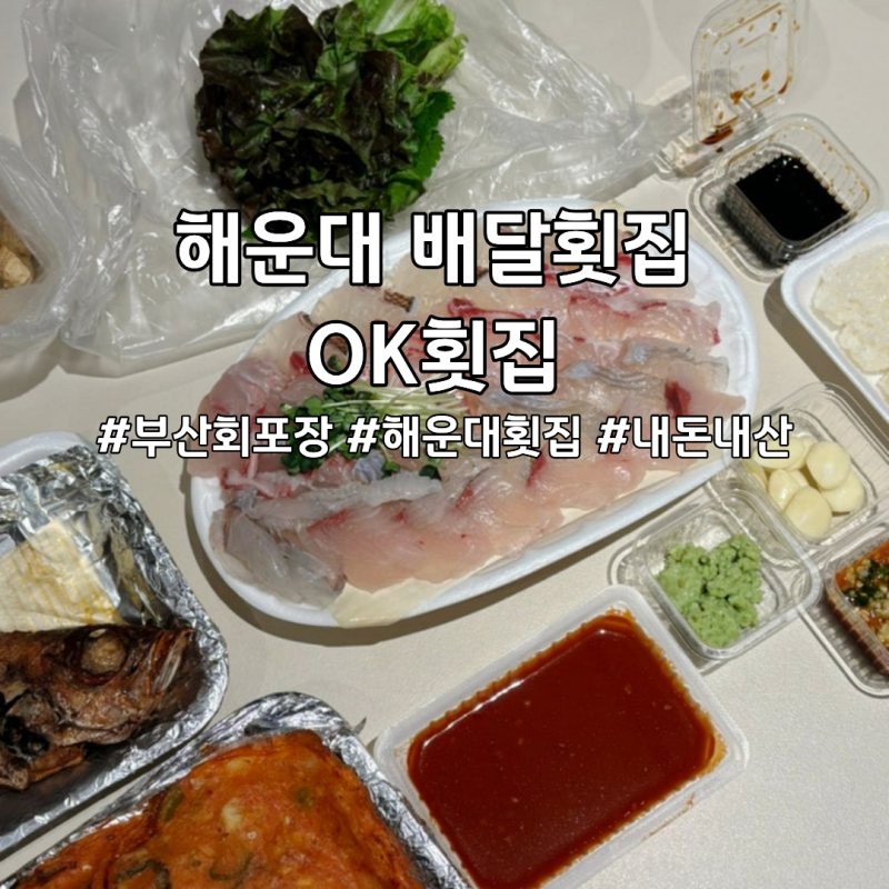 해운대 회 배달 맛집 OK횟집 내돈내산 후기: 고급 모듬회 가성비 끝판왕