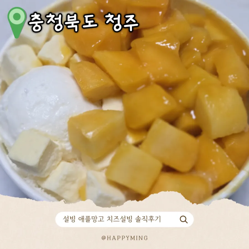 설빙 메뉴 추천 애플망고 치즈설빙 솔직후기