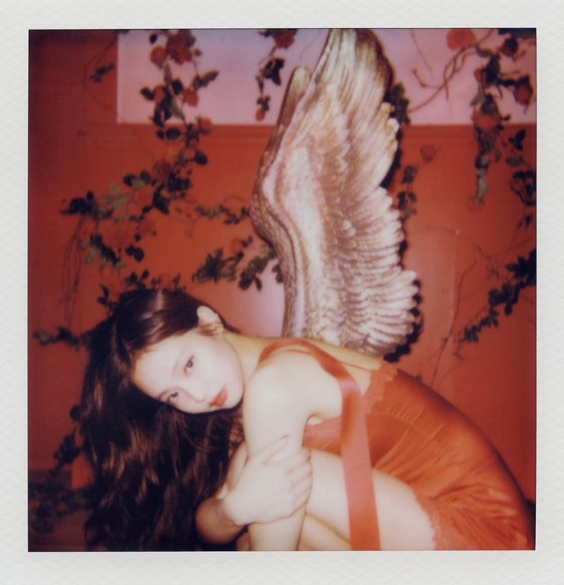 제니 Fallen angel 가사 뜻 해석 신곡정보