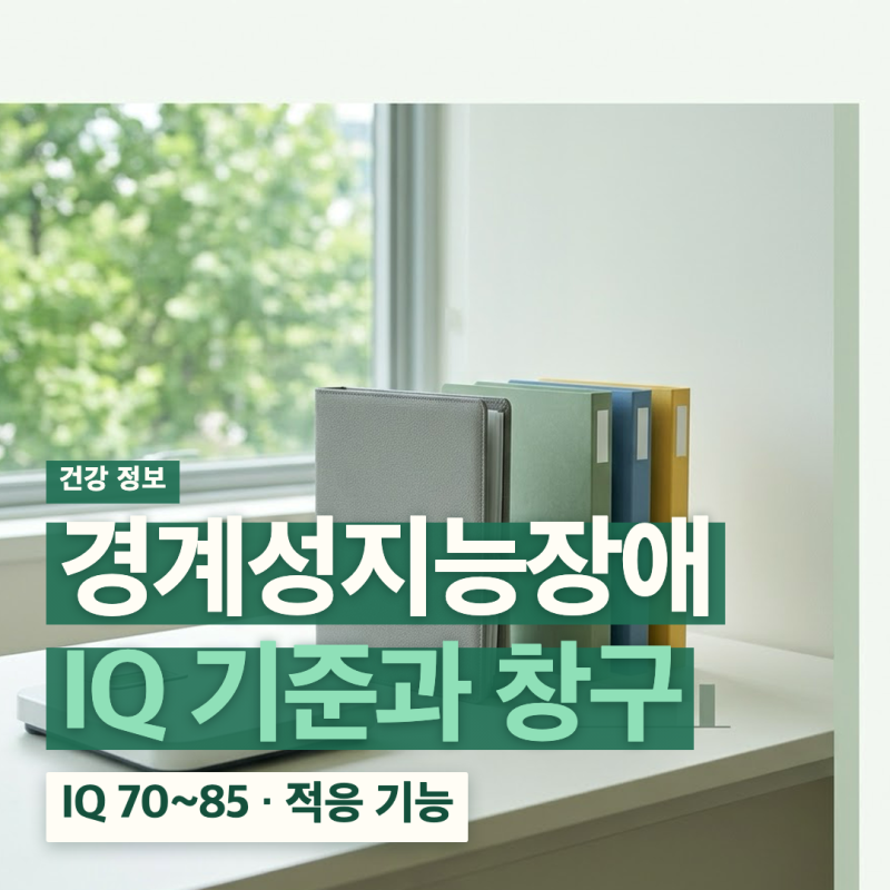 경계성지능장애 뜻 특징 테스트 검사 군대 유전