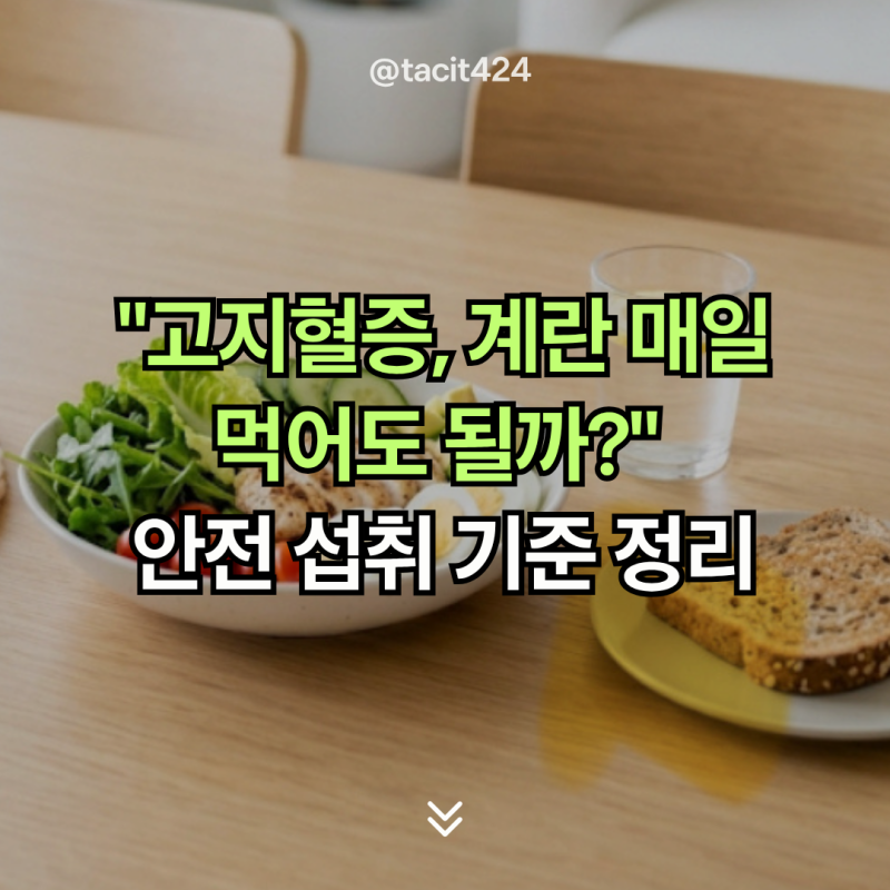 당뇨·고지혈증 환자, 계란 노른자 정말 독(毒)일까? 안전한 섭취 기준 총정리