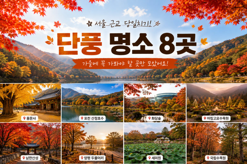 서울 근교 당일치기 단풍 명소 추천
