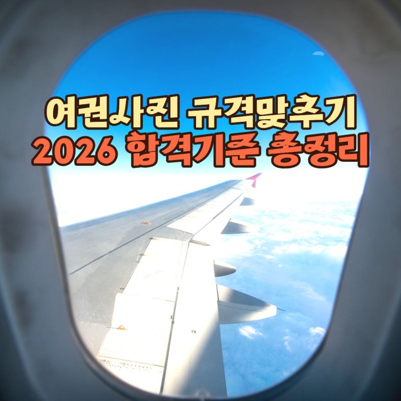 여권사진 규격 맞추기, 무료 앱으로 셀프 촬영했더니 반려? 2026 합격 기준 총정리