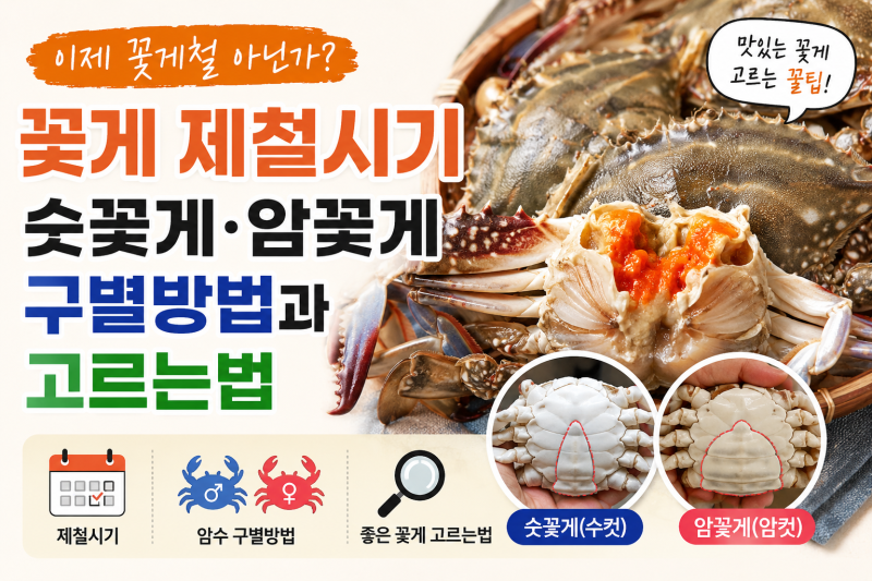 꽃게 제철시기 언제일까? 숫꽃게 암꽃게 구별방법과 고르는법