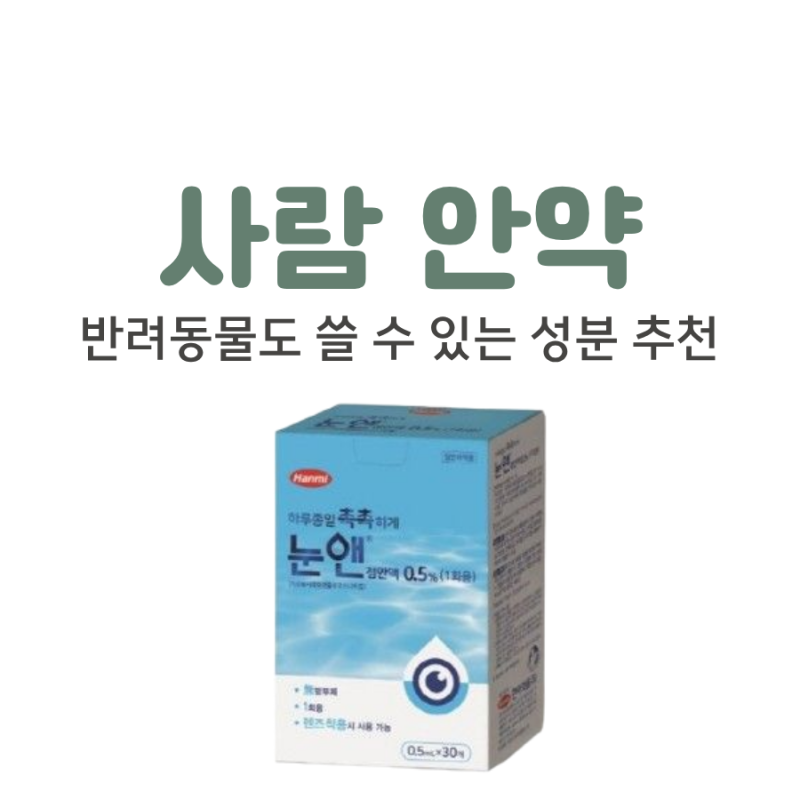 사람 안약, 강아지·고양이랑 같이 써도 될까? (성분별 팩트 정리)
