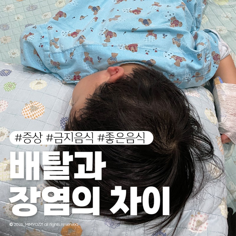 아이 배탈과 장염 차이 증상 회복에 좋은 음식 총정리