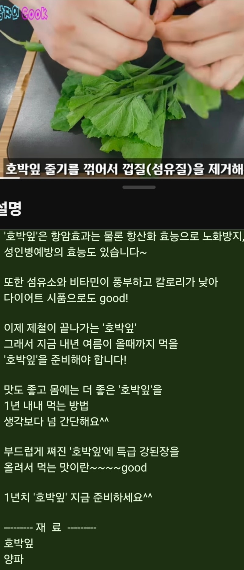 호박잎과 강된장 1년 내내 먹는 냉동보관과 상온해동쌈 !