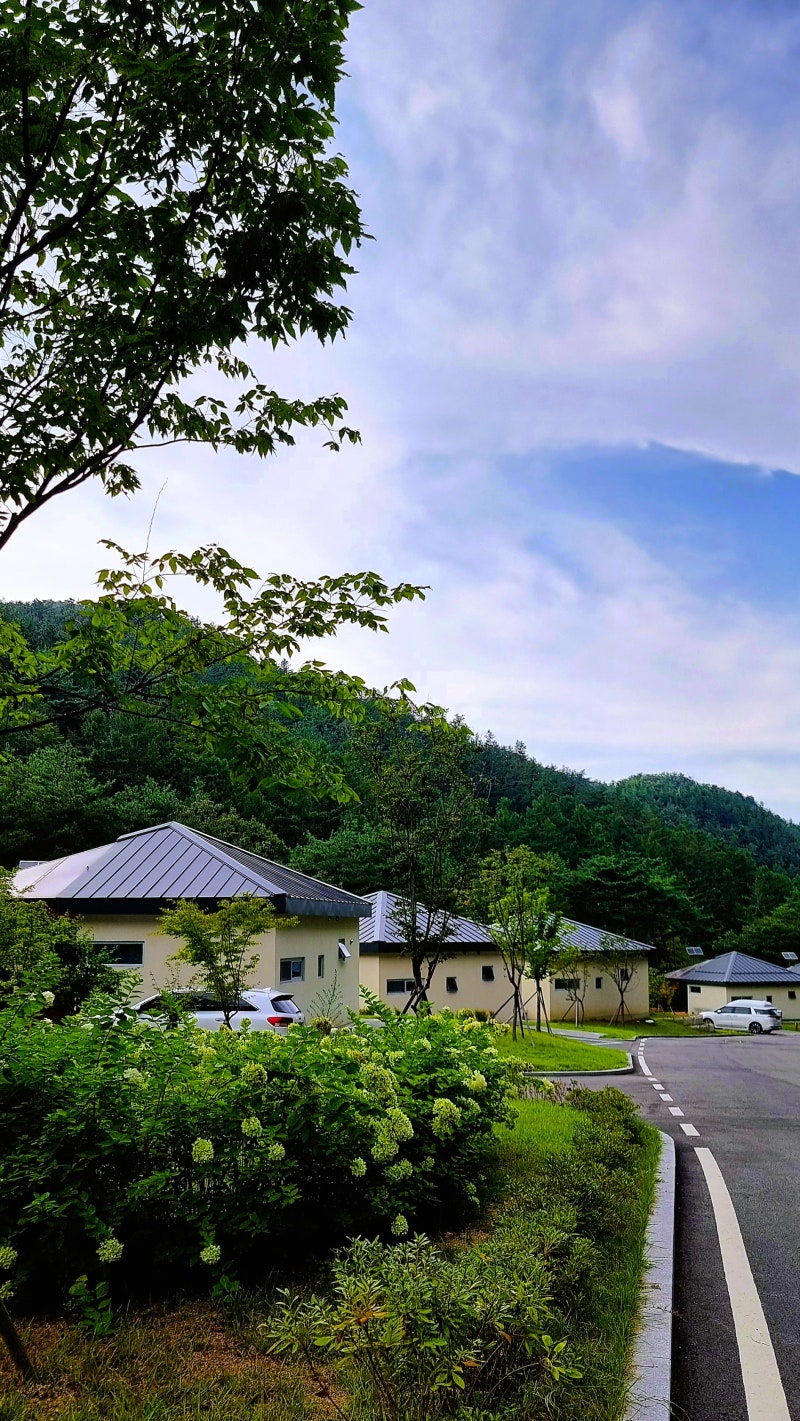금산, 국립금산자연휴양림 숲속의집 '적송' 1박 후기