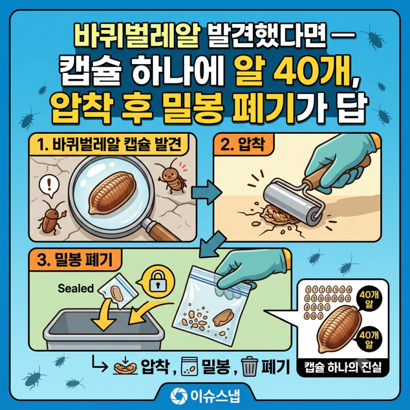 바퀴벌레알 발견했다면 — 캡슐 하나에 알 40개, 압착 후 밀봉 폐기가 답