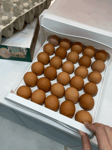 계란 많이 먹는 사람은 꼭 필요한 계란 보관함 직접 써본 솔직 후기