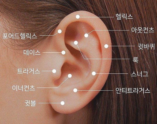 피어싱 후 귀가 붓고 고름이 난다면? 연골 피어싱 염증과 감염 주의