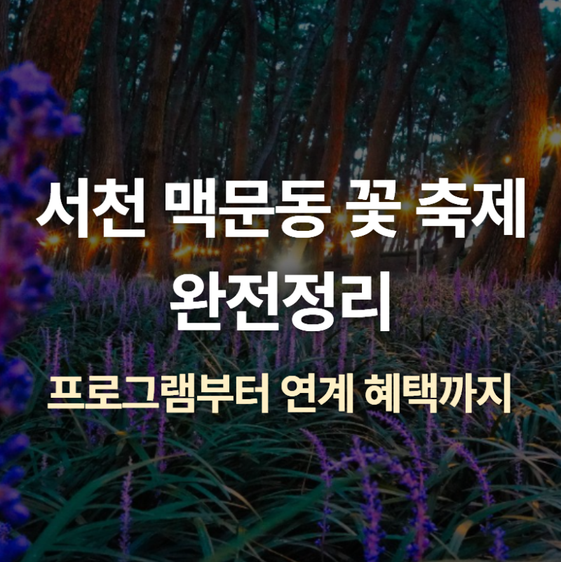서천 맥문동 꽃 축제, 600만 송이 보랏빛 물결 (8.28~30)