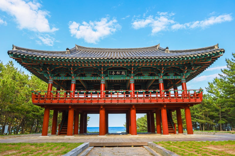 울진 가볼만한곳 월송정 나눔길 소나무숲 9월 국내 여행지 추천