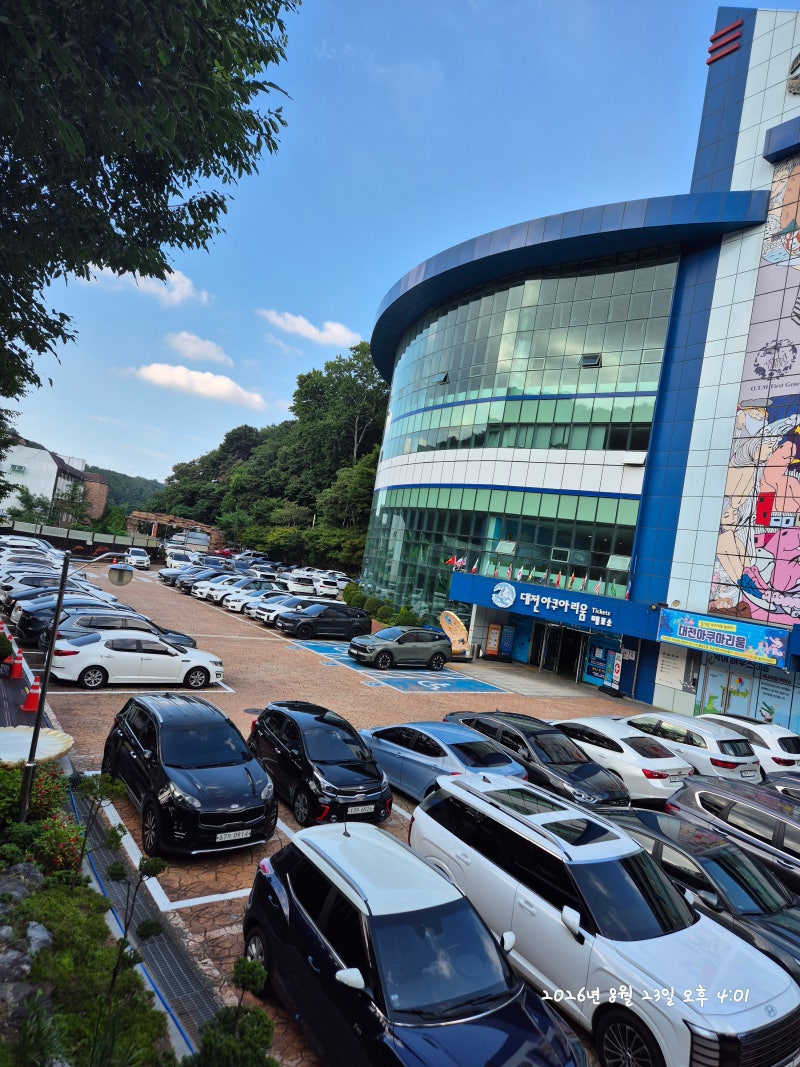 보문산 대전아쿠아리움 5살 아이와 다녀온 솔직 후기