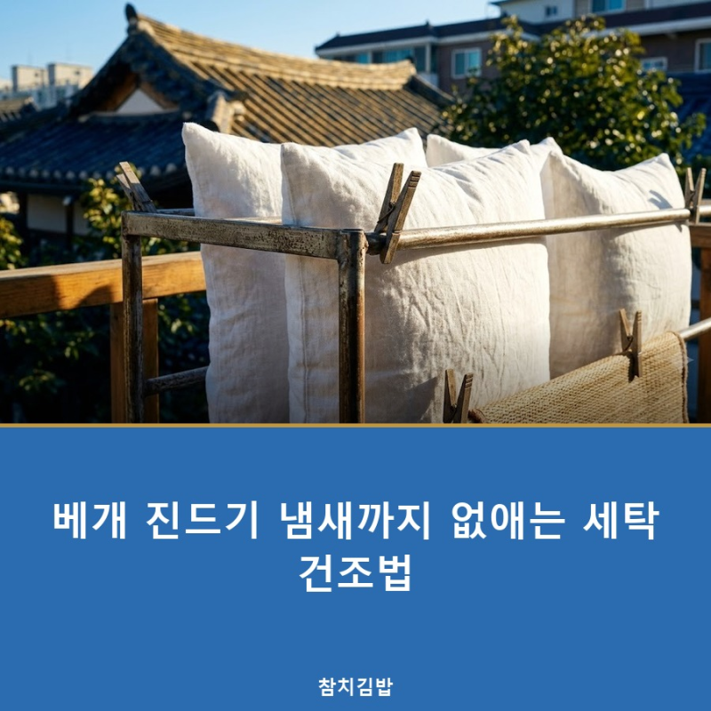 베개 진드기 냄새까지 없애는 세탁 건조법
