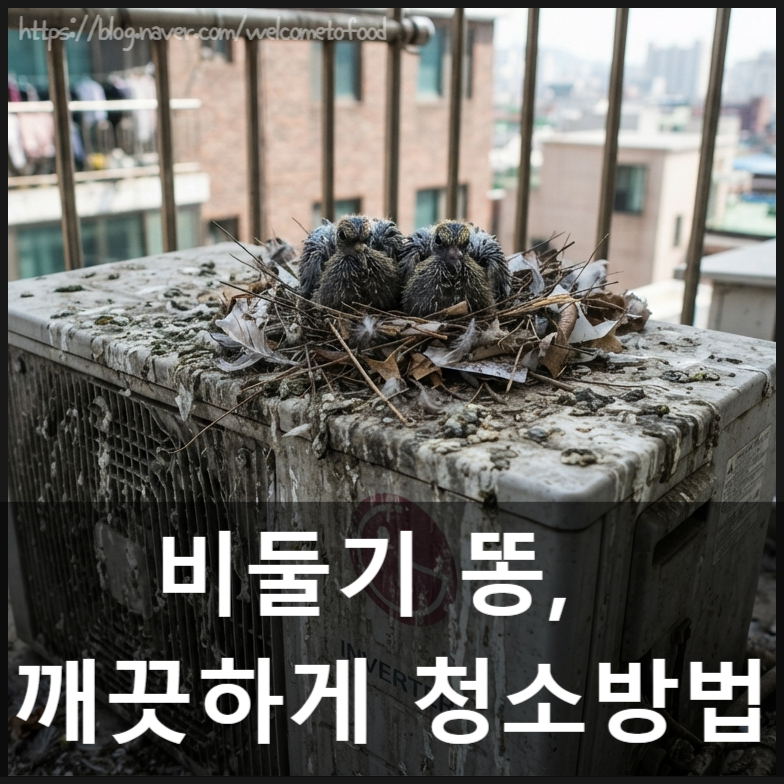 비둘기 배변 청소 방법, 베란다·옥상 비둘기 똥 안전하게 제거·소독하는 법
