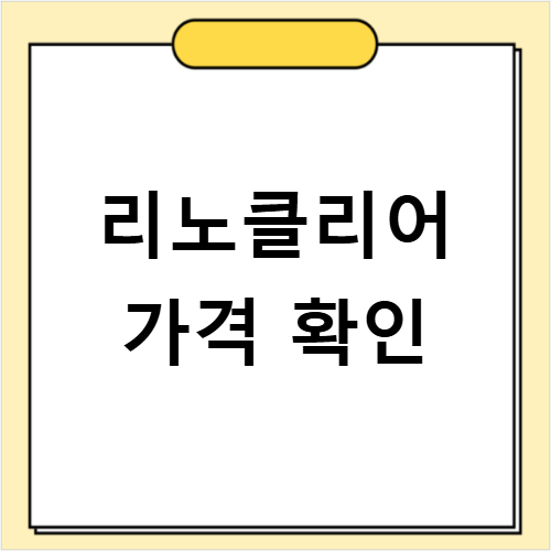 리노클리어 사용법으로 알레르기 비염 세척기 효과 제대로 보기