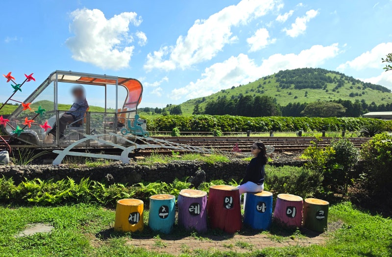 Jeju Rail Bike, Yongnuni Oreum Information, and Animal Experiences: Things to Do in Eastern Jeju