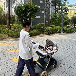 [내돈내산] 에그Q 절충형 유모차 사용 후기