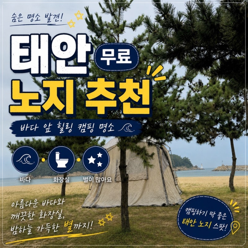 바다 바로 앞에서 즐기는 태안 무료 노지 캠핑⭐️