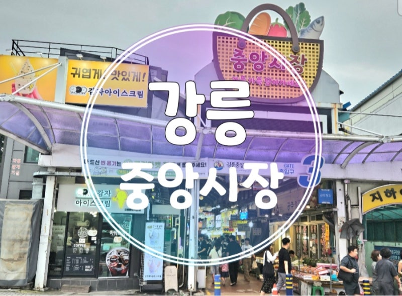강릉 중앙시장 먹거리 추천 길감자부터 닭강정까지 월화거리 코스